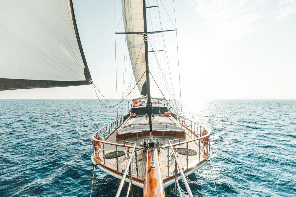 Blue Voyage